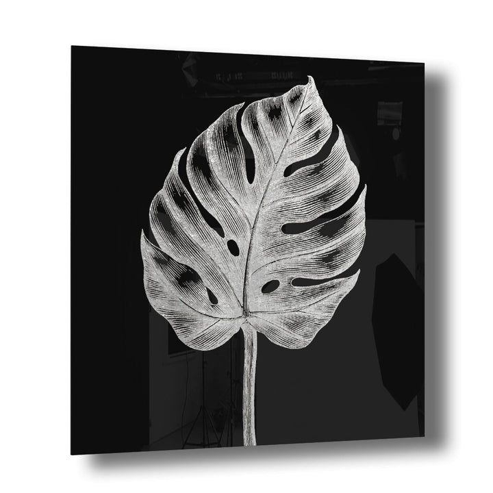 Monstera No. 1 Silber auf Acryl - Affengeile Bilder
