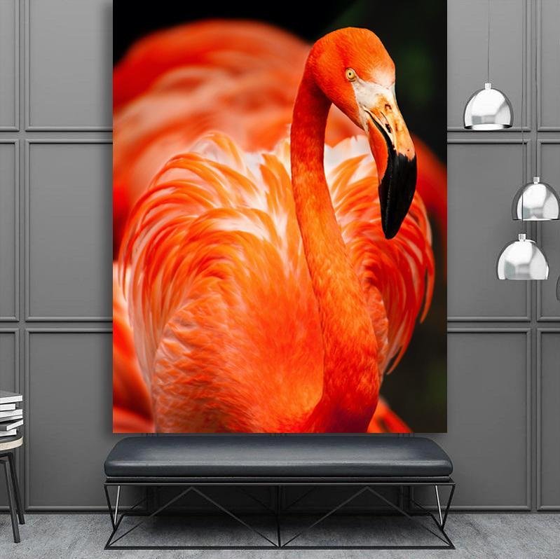 "Flamingo"  - Affengeile Bilder