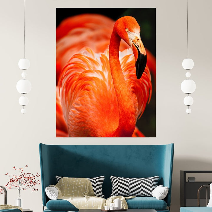 "Flamingo"  - Affengeile Bilder