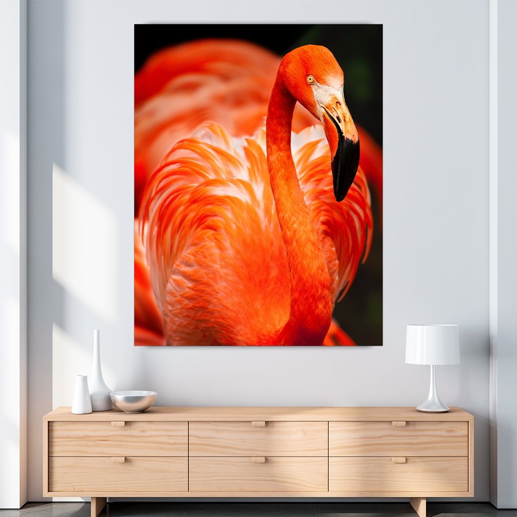 "Flamingo"  - Affengeile Bilder
