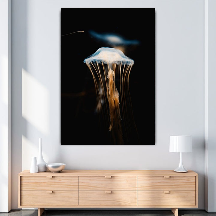 "Jellyfish" - Affengeile Bilder