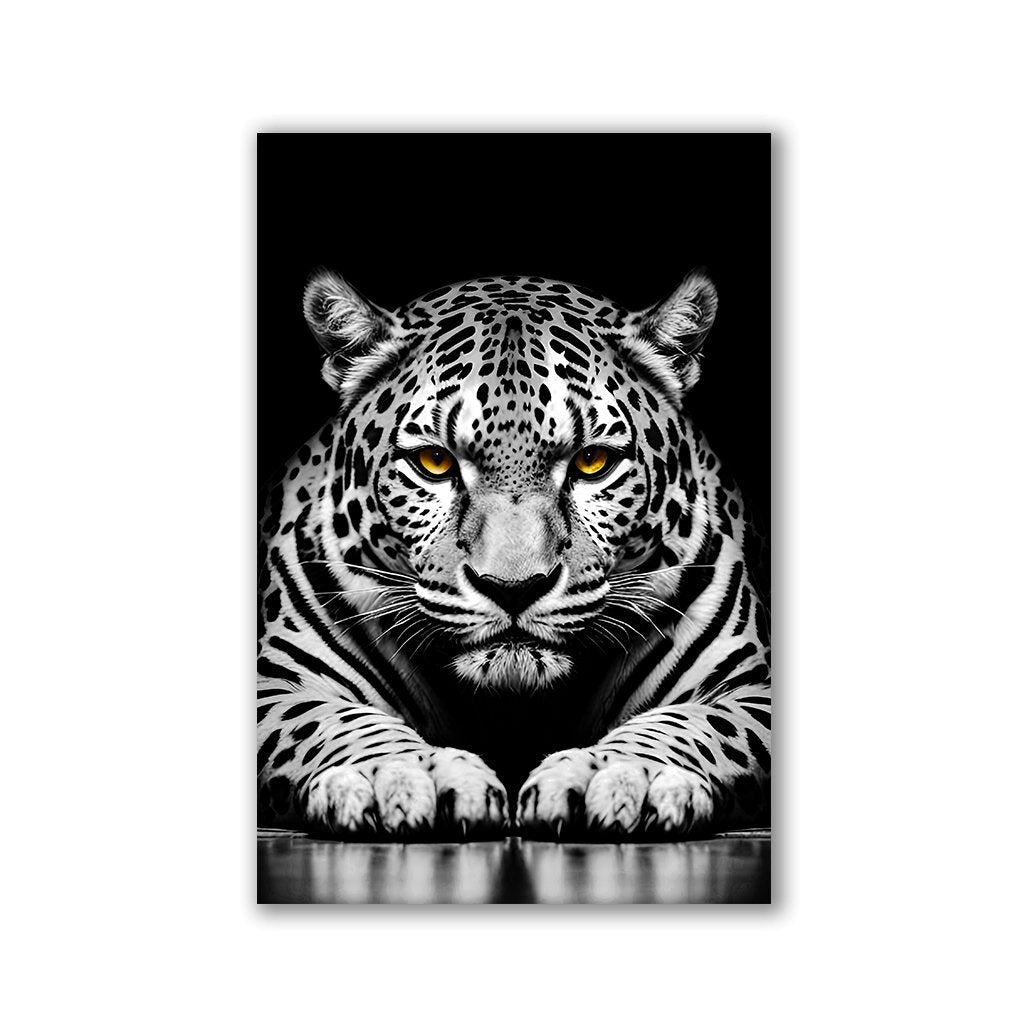 White Jaguar by Adrian Vieriu - Affengeile Bilder