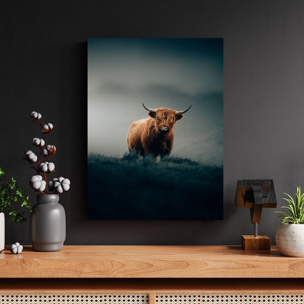 Lone Highland Cattle Guard by Philipp Pilz - Affengeile Bilder
