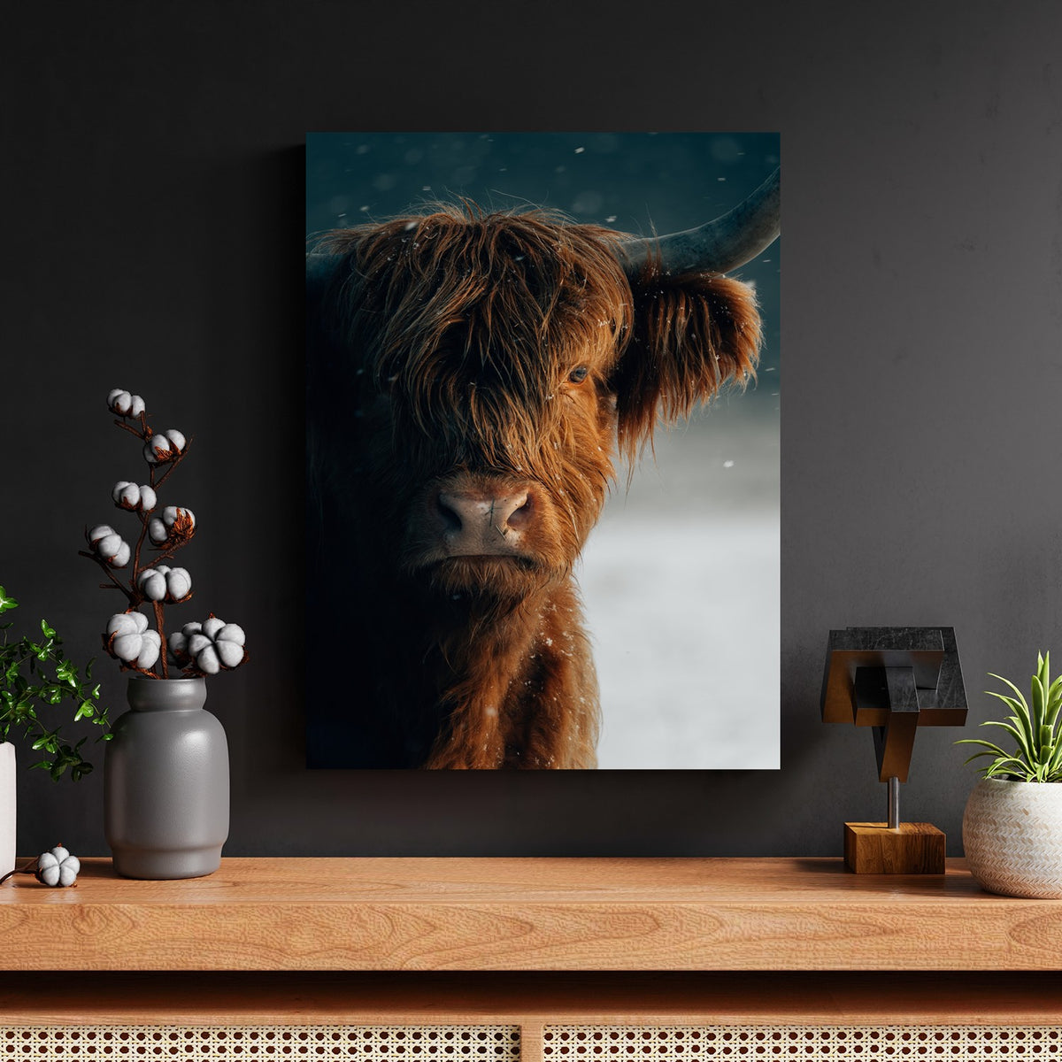 Highland Cattle in Falling Snow by Philipp Pilz - Affengeile Bilder