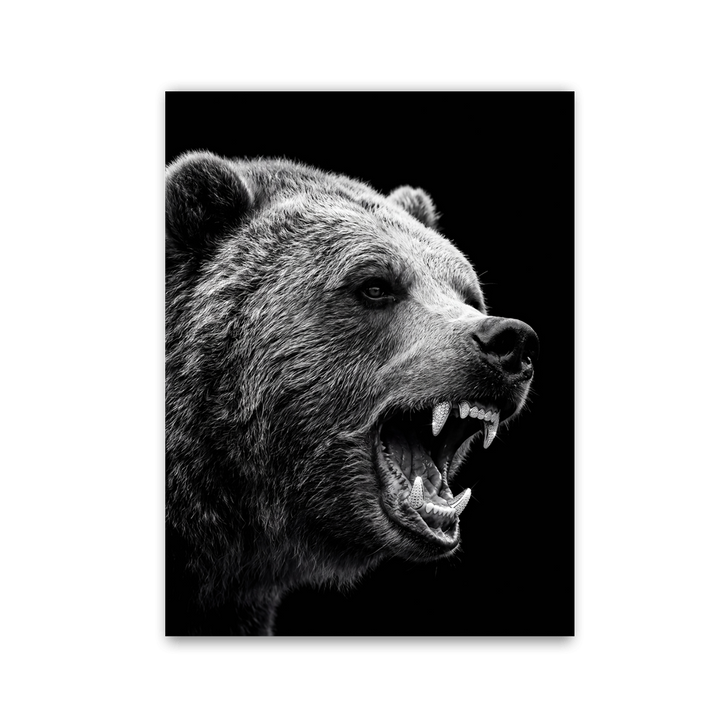 Roaring Grizzly by Zenzdesign - Affengeile Bilder
