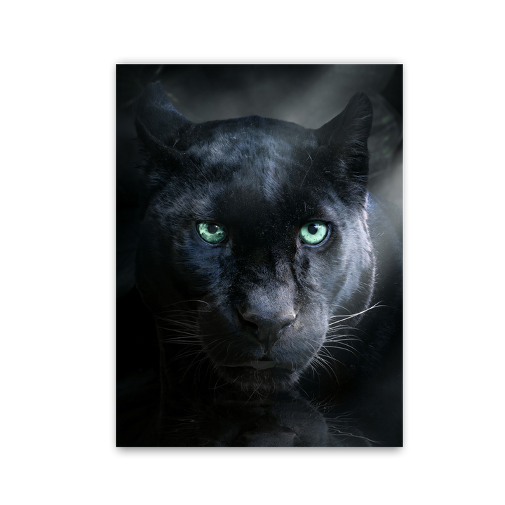 Green Eye Panther by Zenzdesign - Affengeile Bilder
