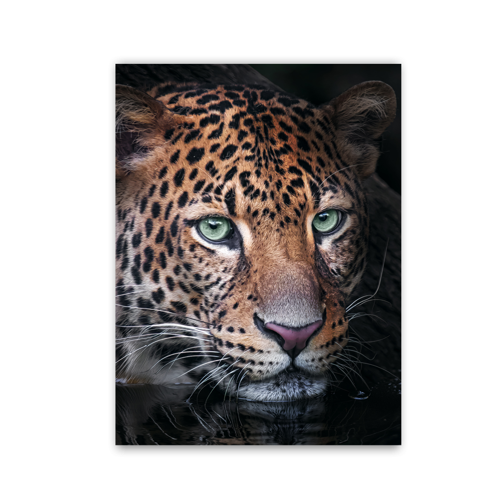 Mystic River Leopard by Zenzdesign - Affengeile Bilder