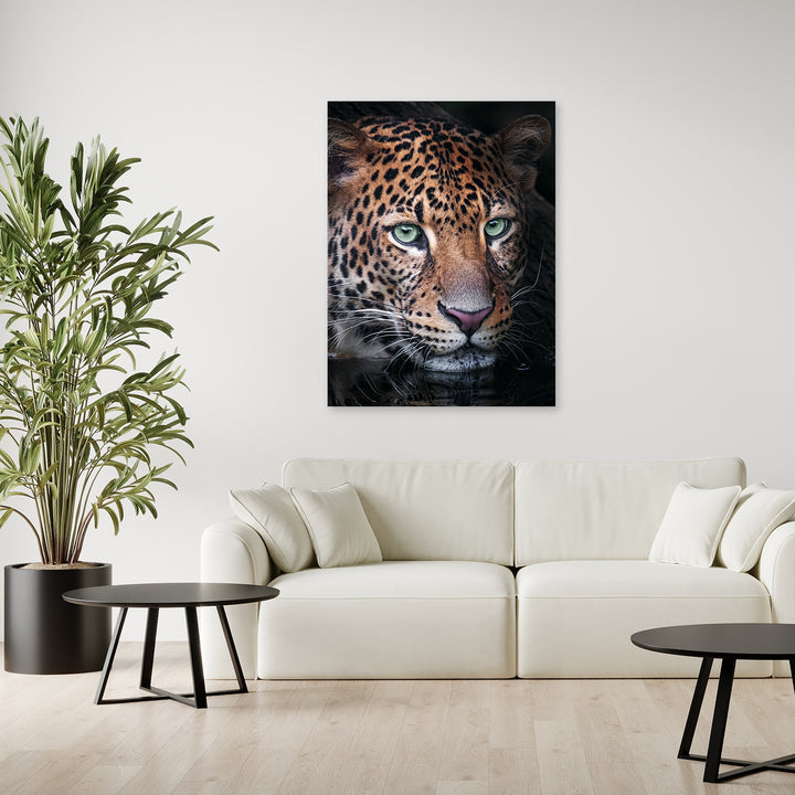 Mystic River Leopard by Zenzdesign - Affengeile Bilder