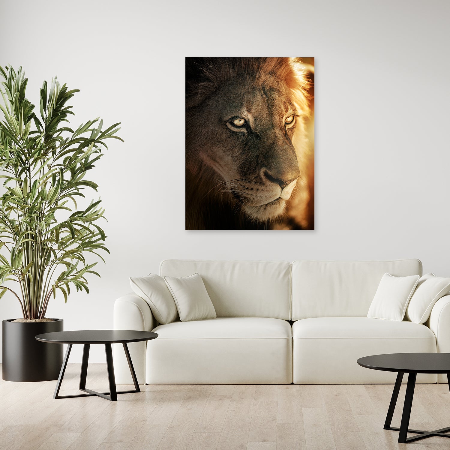 Golden Glow Lion by Zenzdesign - Affengeile Bilder