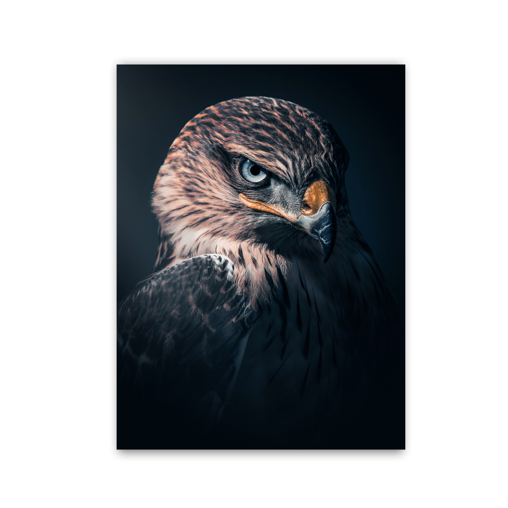 Shadow Hawk Portrait by Zenzdesign - Affengeile Bilder