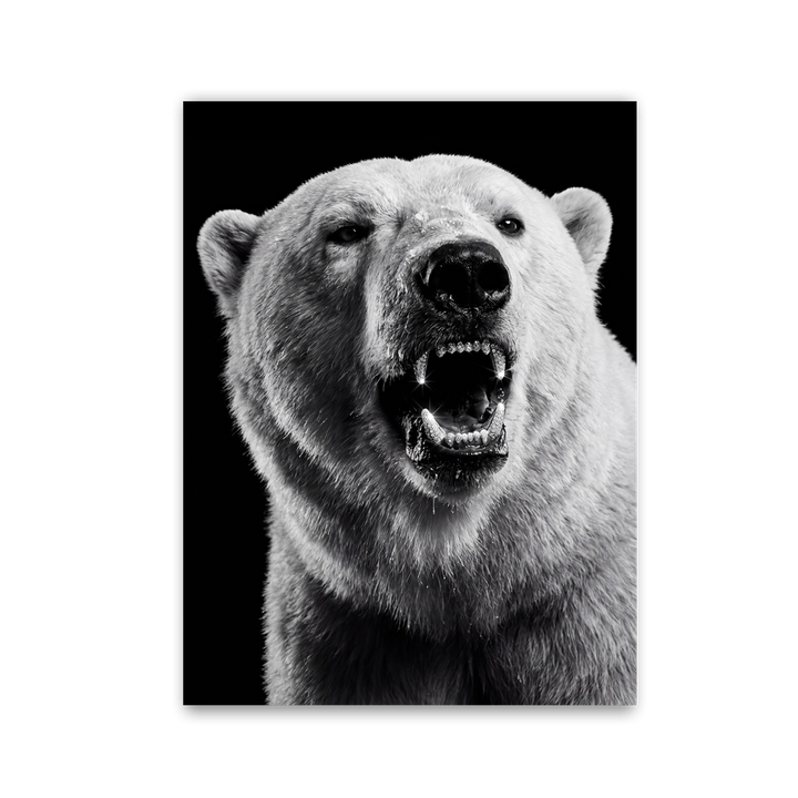Polar Beast Roar by Zenzdesign - Affengeile Bilder