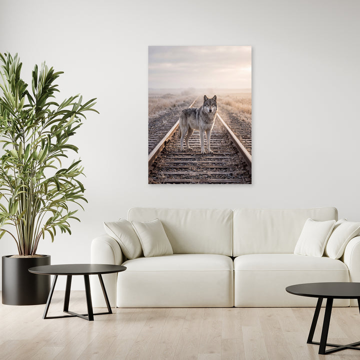 Lone Track Wolf by Zenzdesign - Affengeile Bilder