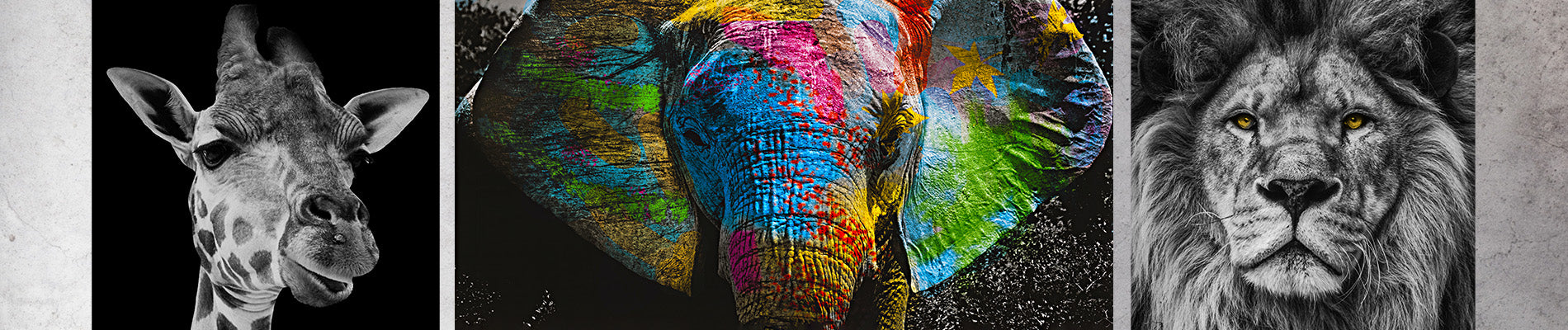 Kategorie Header Tiere
