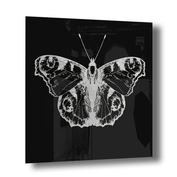 Butterfly Silber auf Acryl - Affengeile Bilder