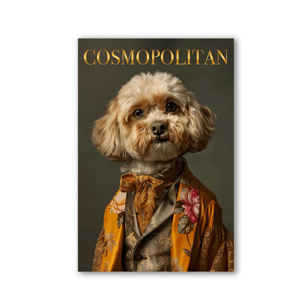 Cosmopolitan Havaneser by Rosa Piazza - Affengeile Bilder