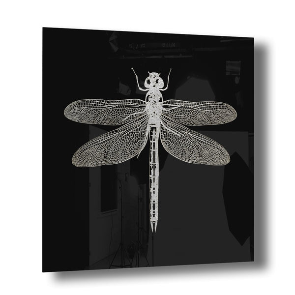 Dragonfly Silber auf Acryl - Affengeile Bilder