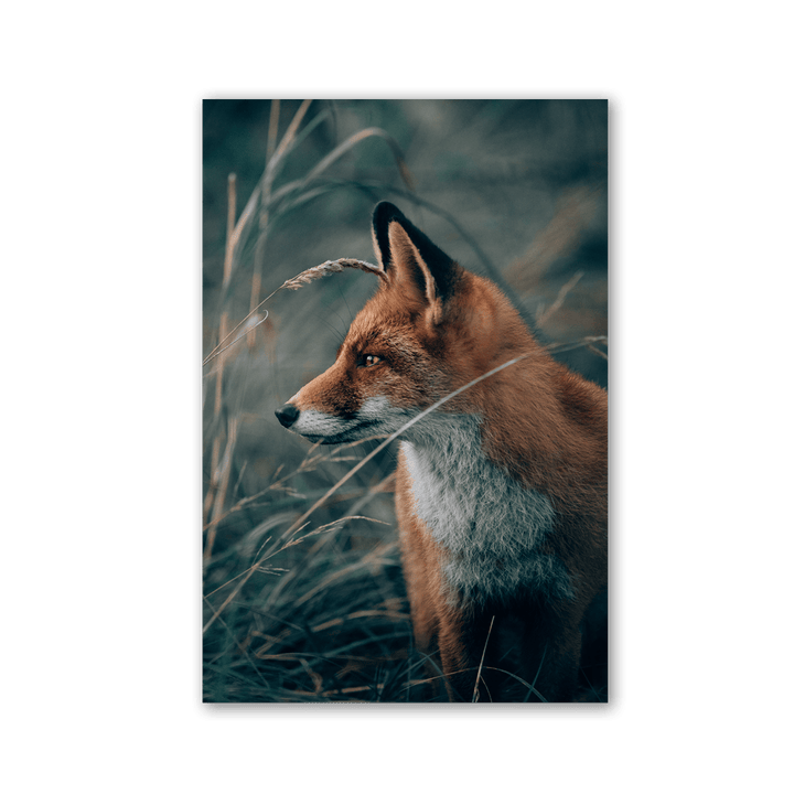 Fox in the Tall Grass by Philipp Pilz - Affengeile Bilder