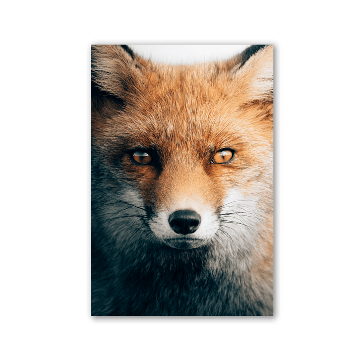 Golden Fox Portrait by Philipp Pilz - Affengeile Bilder