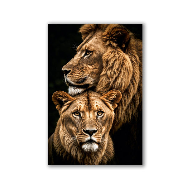 Lion Couple by Adrian Vieriu - Affengeile Bilder