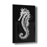 Little Seahorse Silber auf Acryl - Affengeile Bilder