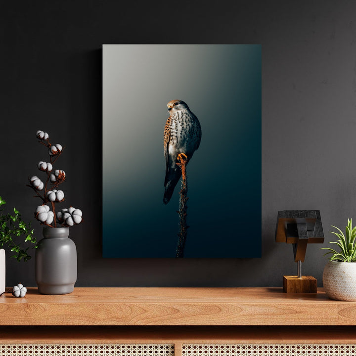 Perched Kestrel Silhouette by Philipp Pilz - Affengeile Bilder