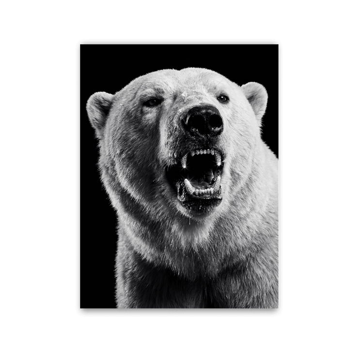 Polar Beast Roar by Zenzdesign - Affengeile Bilder