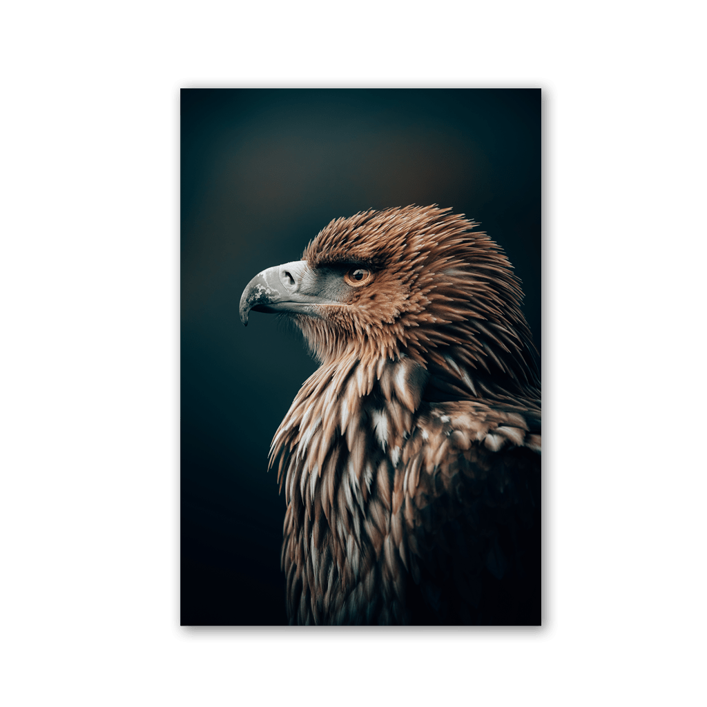 Regal Eagle Profile by Philipp Pilz - Affengeile Bilder