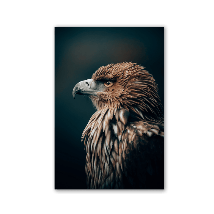 Regal Eagle Profile by Philipp Pilz - Affengeile Bilder