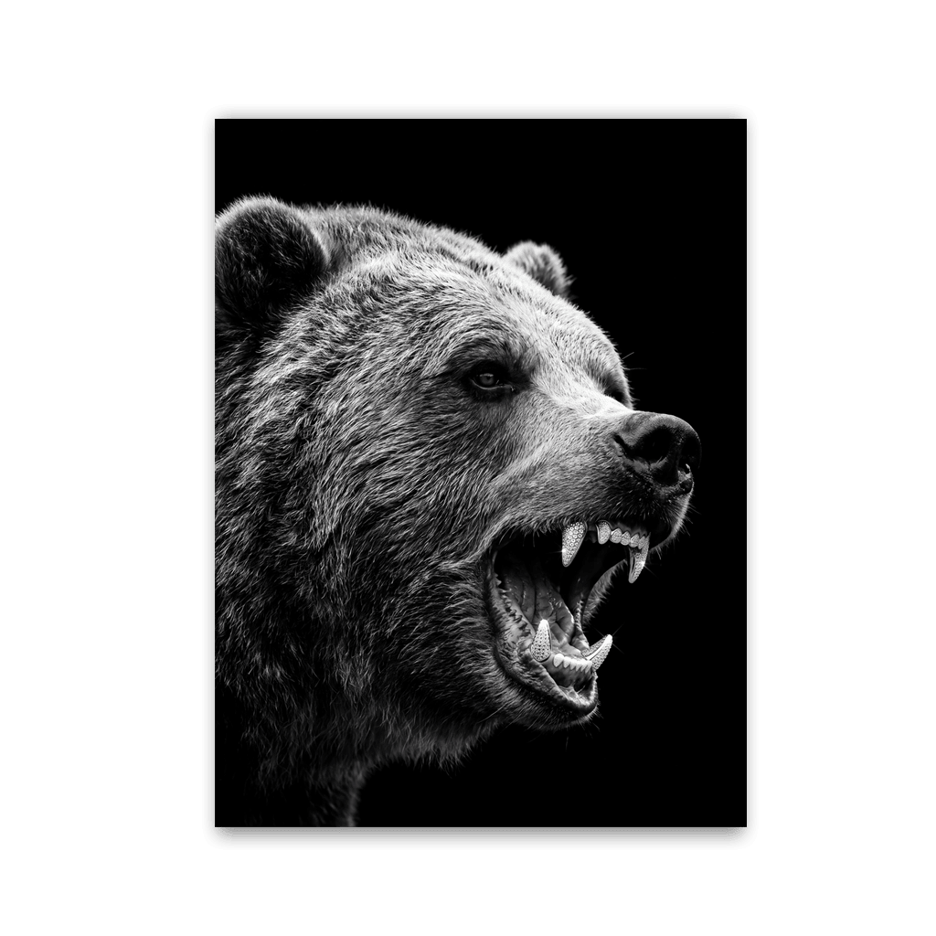 Roaring Grizzly by Zenzdesign - Affengeile Bilder