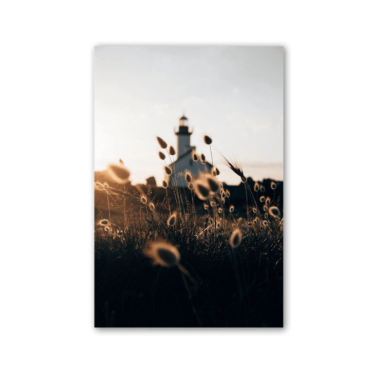 Wild Grass Lighthouse View by Philipp Pilz - Affengeile Bilder