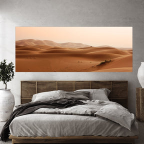 "Desert" - Affengeile Bilder