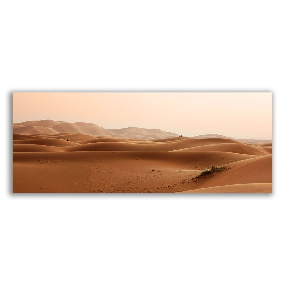 "Desert" - Affengeile Bilder