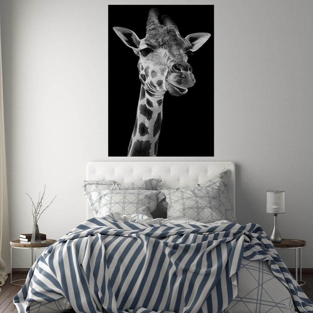 "Giraffe" Black/White - Affengeile Bilder