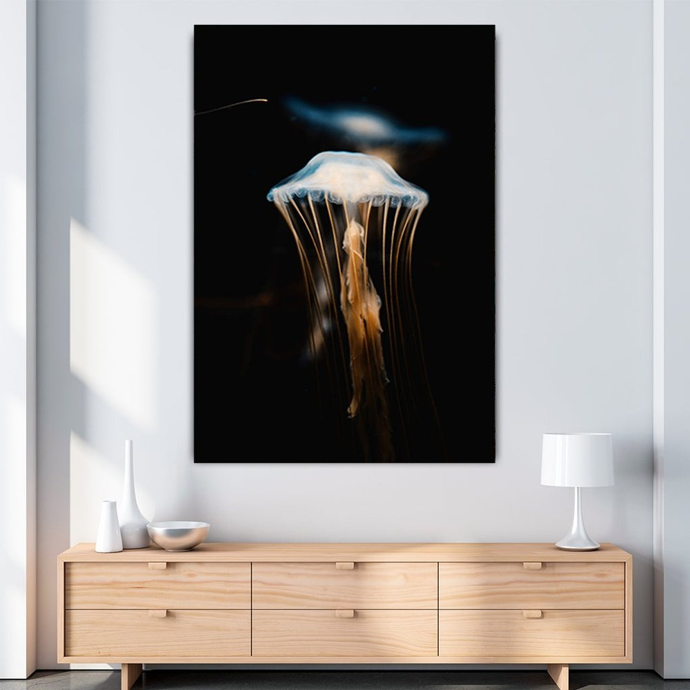 "Jellyfish" - Affengeile Bilder