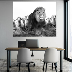 "Lion Sheeps" - Affengeile Bilder