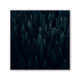 Moody Forest - Quadrat by Philipp Pilz - Affengeile Bilder