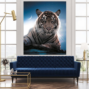 "Moonlight Tiger" - Affengeile Bilder