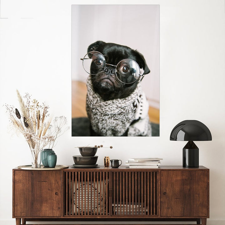 Mops Brille - Affengeile Bilder