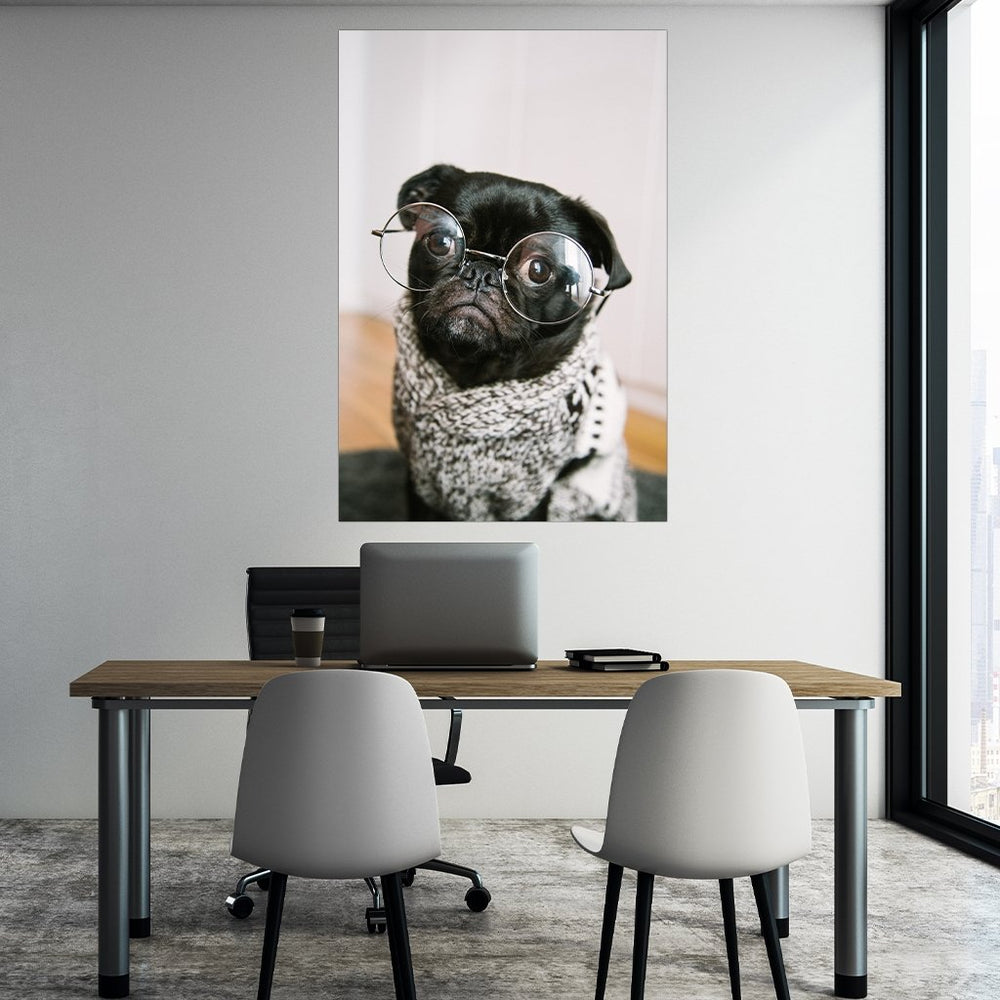 Mops Brille - Affengeile Bilder