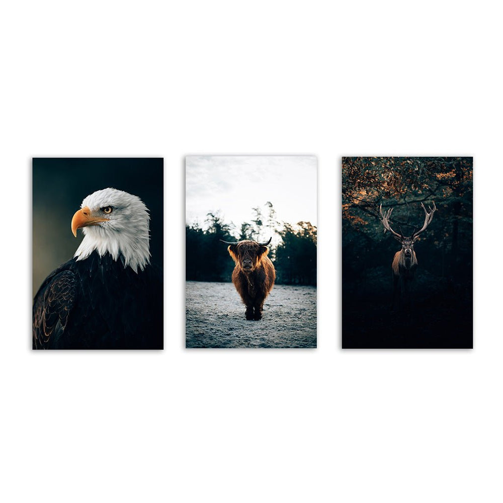 "Nordic Animals" - Triptychon by Philipp Pilz - Affengeile Bilder