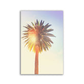 "Sunny Palm Tree" - Affengeile Bilder