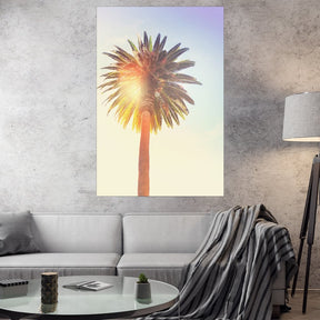 "Sunny Palm Tree" - Affengeile Bilder