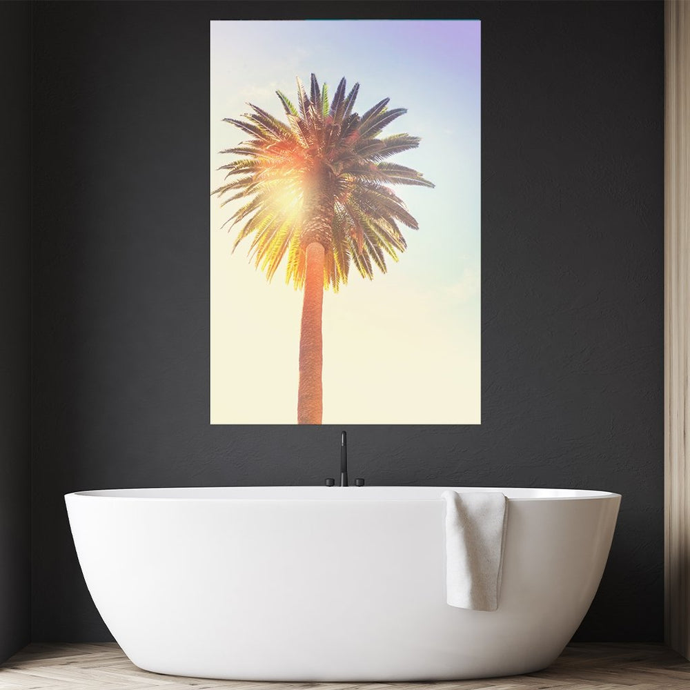 "Sunny Palm Tree" - Affengeile Bilder