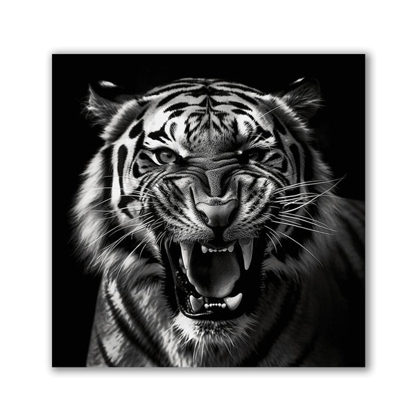 Tiger Portrait by Henrivaux - Affengeile Bilder